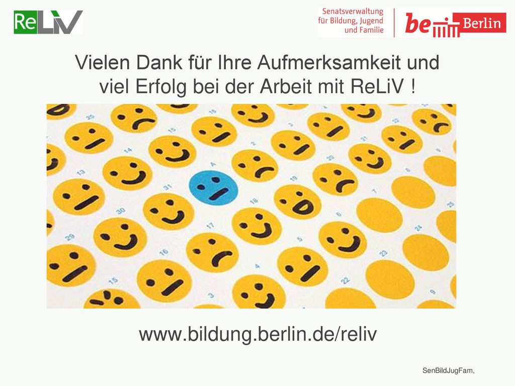 Vielen Dank für Ihre Aufmerksamkeit und viel Erfolg bei der Arbeit mit ReLiV !