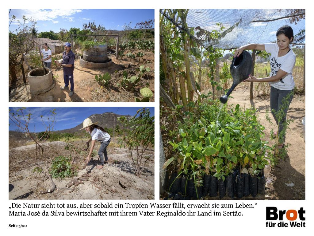 „Die Natur sieht tot aus, aber sobald ein Tropfen Wasser fällt, erwacht sie zum Leben. Maria José da Silva bewirtschaftet mit ihrem Vater Reginaldo ihr Land im Sertão.