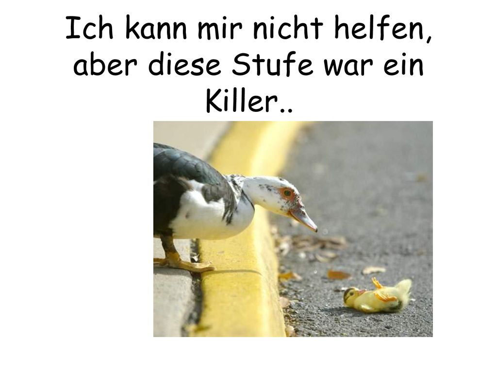 Ich kann mir nicht helfen, aber diese Stufe war ein Killer..