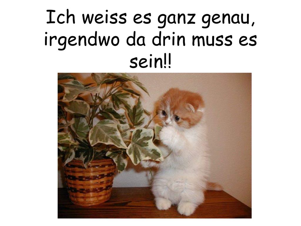Ich weiss es ganz genau, irgendwo da drin muss es sein!!