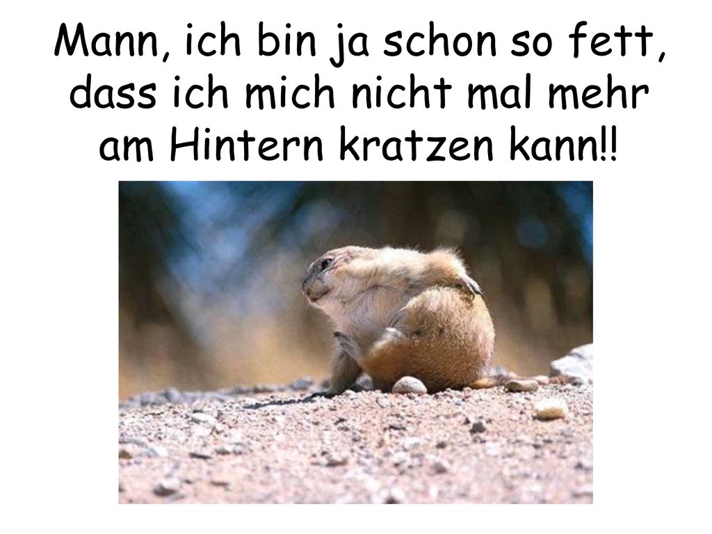 Mann, ich bin ja schon so fett, dass ich mich nicht mal mehr am Hintern kratzen kann!!