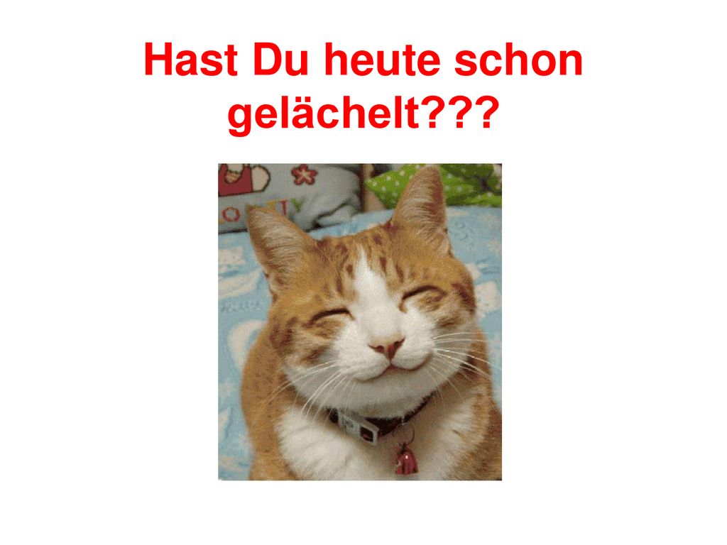 Welchen Teil von “Ruhe” hast Du nicht verstanden?? ppt herunterladen