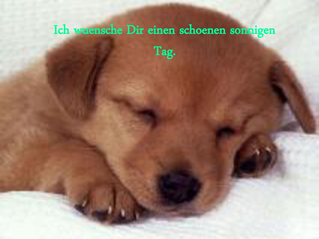 Ich wuensche Dir einen schoenen sonnigen Tag.
