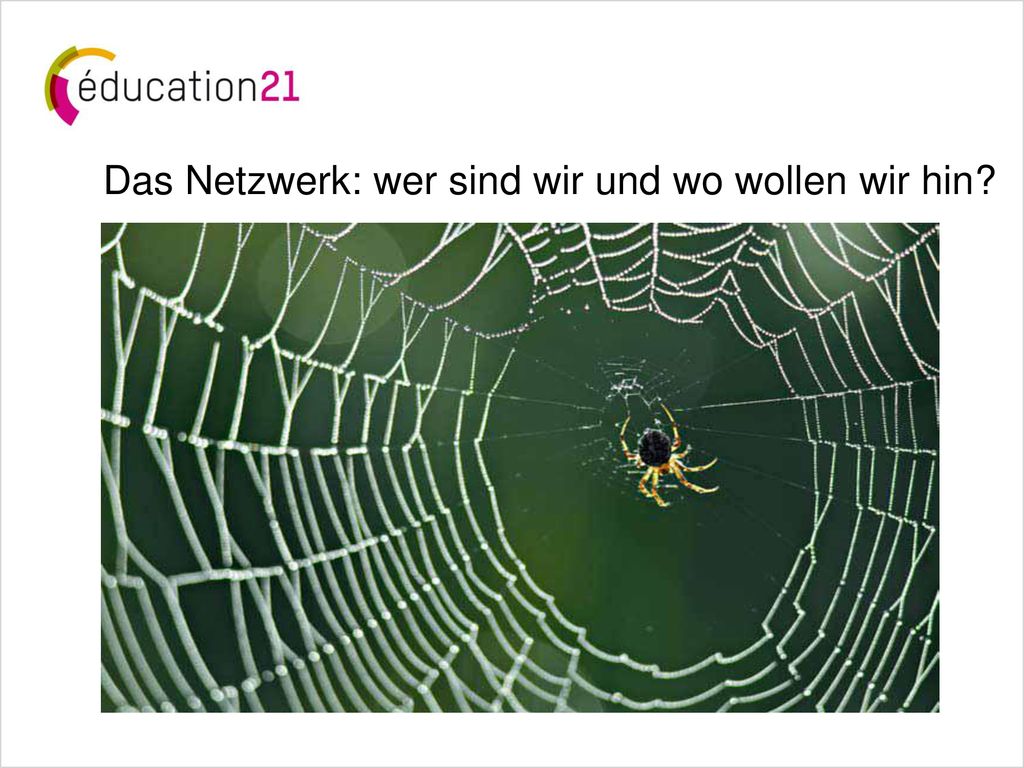 Das Netzwerk: wer sind wir und wo wollen wir hin