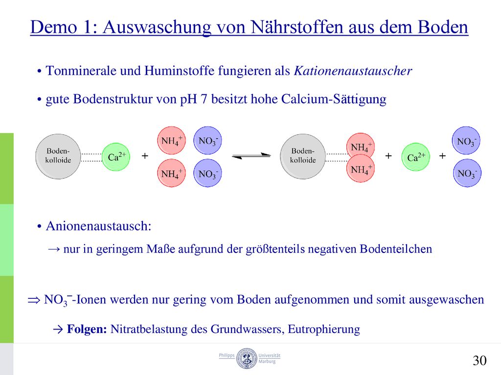 Düngemittel PhilippsUniversität Marburg Fachbereich 15 Chemie ppt