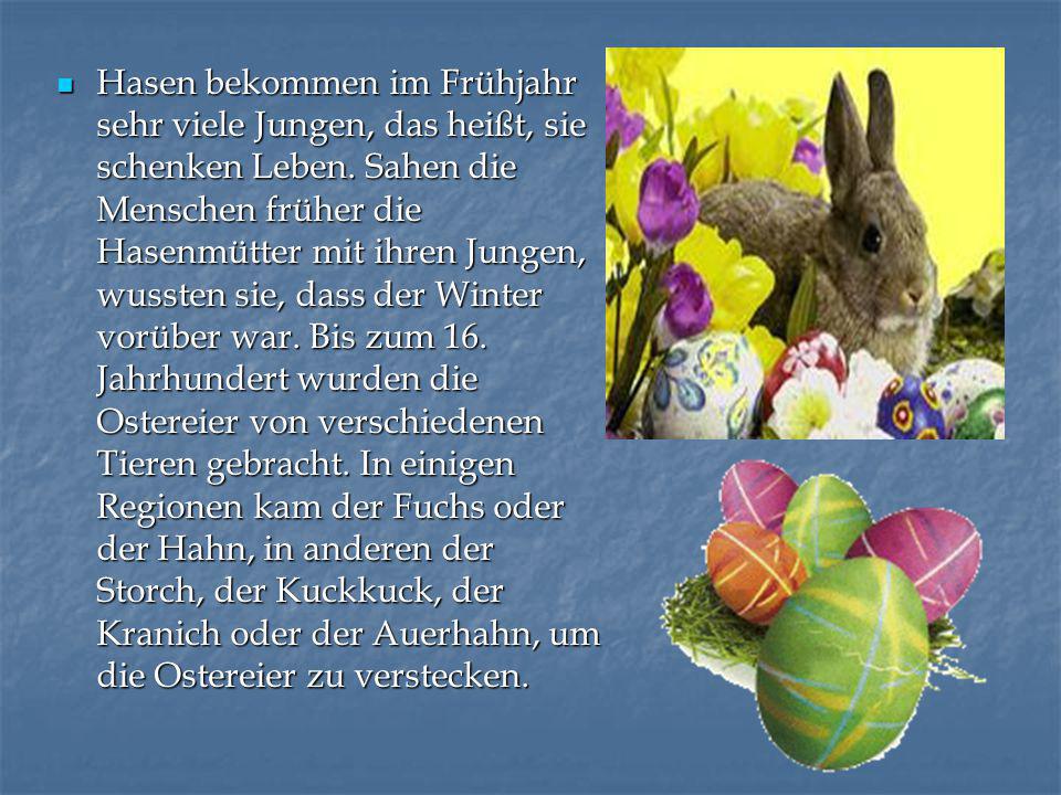 Hasen bekommen im Frühjahr sehr viele Jungen, das heißt, sie schenken Leben.