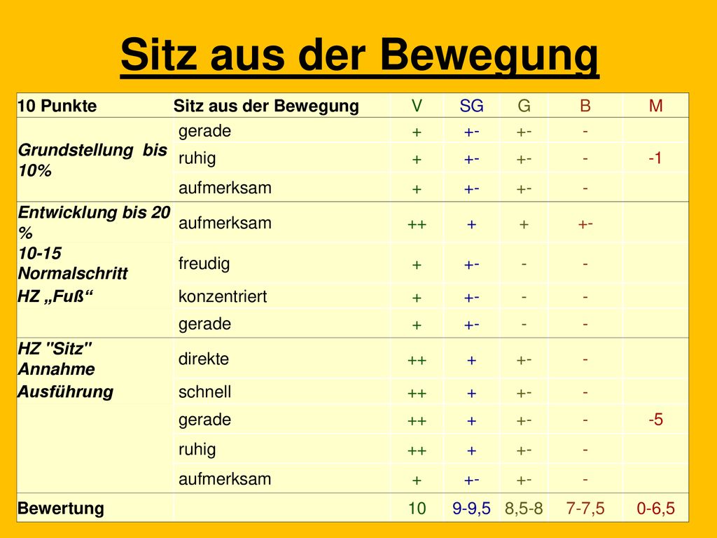 Sitz aus der Bewegung 10 Punkte Sitz aus der Bewegung V SG G B M