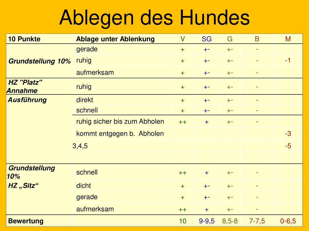 Ablegen des Hundes 10 Punkte Ablage unter Ablenkung V SG G B M