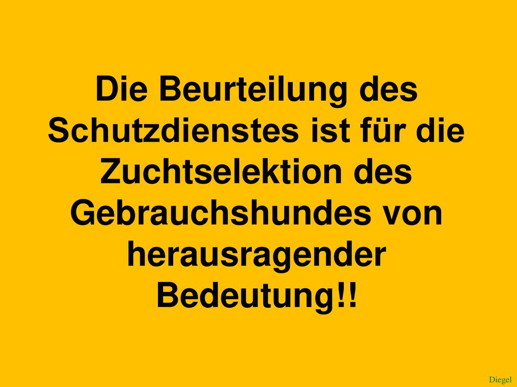 Die Beurteilung des Schutzdienstes ist für die Zuchtselektion des Gebrauchshundes von herausragender Bedeutung!!