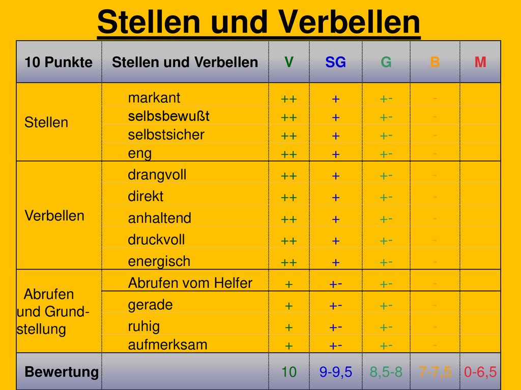 Stellen und Verbellen 10 Punkte Stellen und Verbellen V SG G B M
