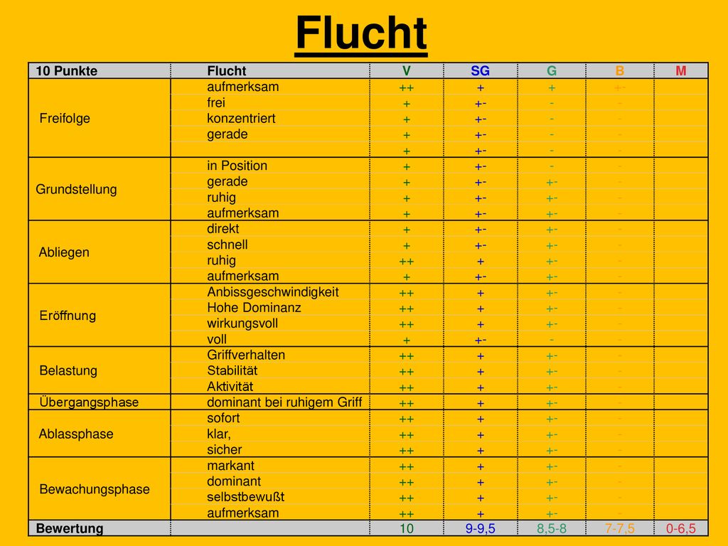 Flucht 10 Punkte Flucht V SG G B M Freifolge aufmerksam frei -