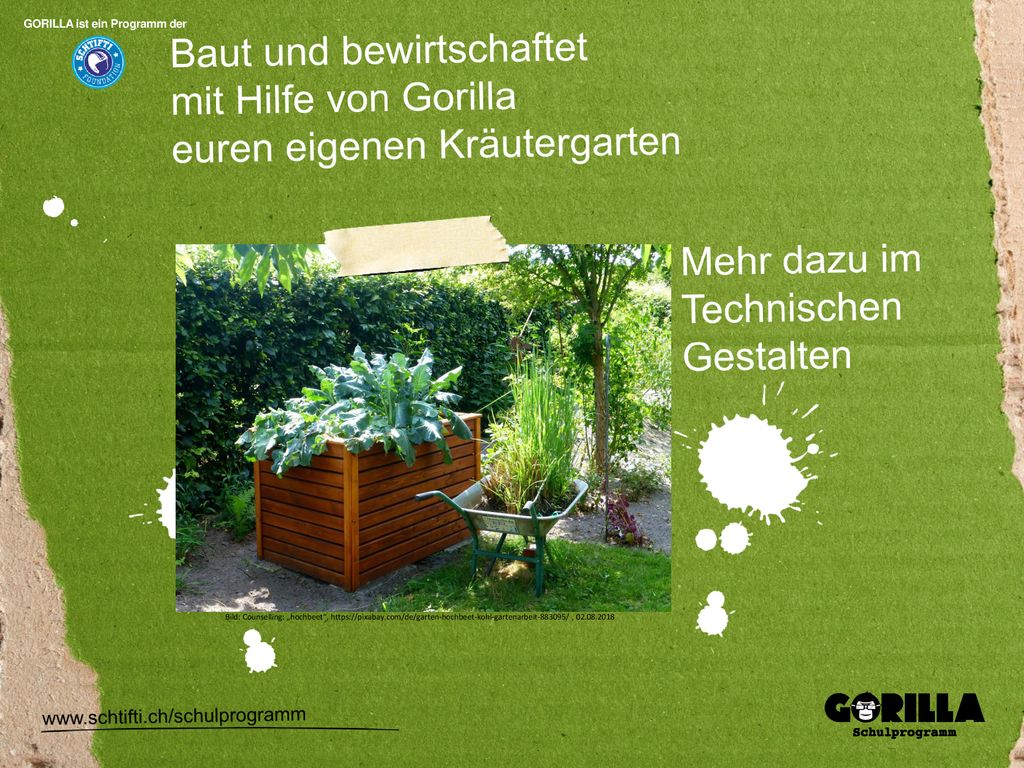 Baut und bewirtschaftet mit Hilfe von Gorilla euren eigenen Kräutergarten