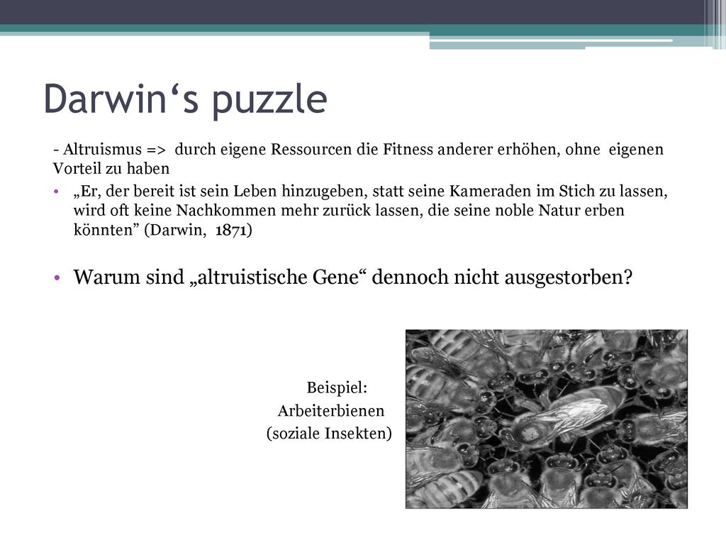 Darwin‘s puzzle - Altruismus => durch eigene Ressourcen die Fitness anderer erhöhen, ohne eigenen Vorteil zu haben.