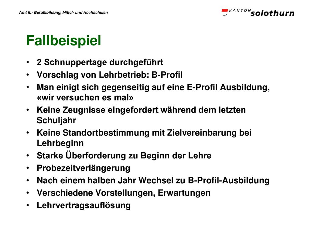 Fallbeispiel 2 Schnuppertage durchgeführt