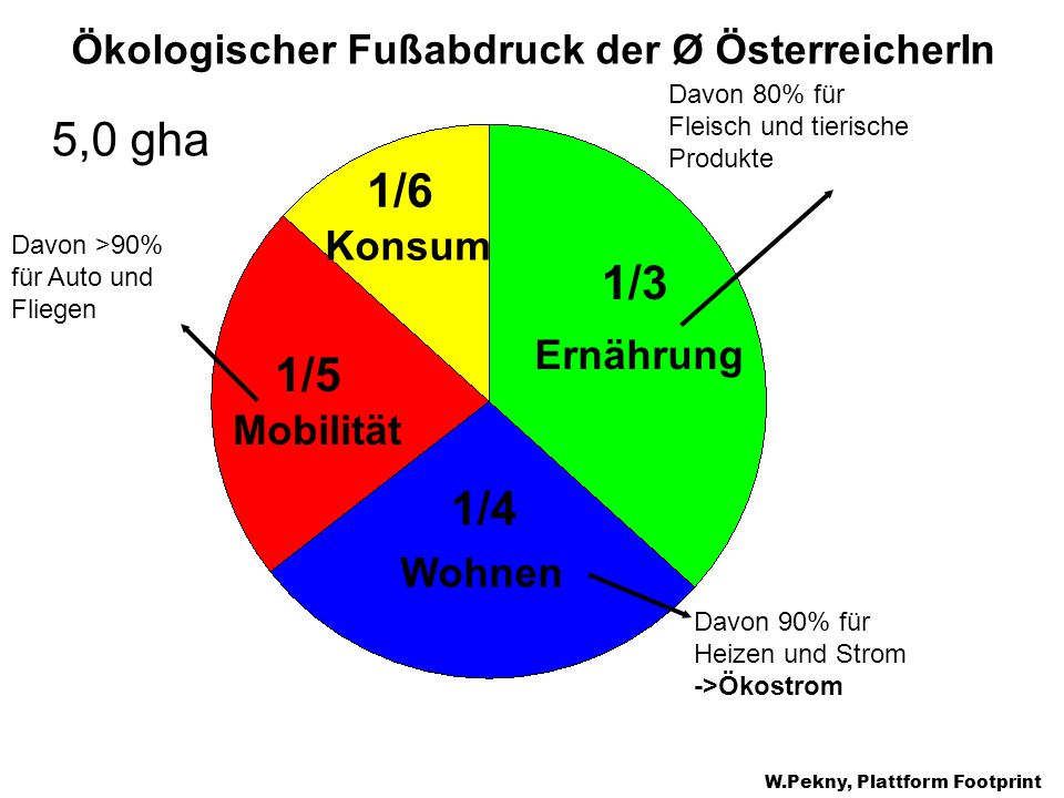 1/6 1/3 1/5 1/4 Ökologischer Fußabdruck der Ø ÖsterreicherIn Konsum