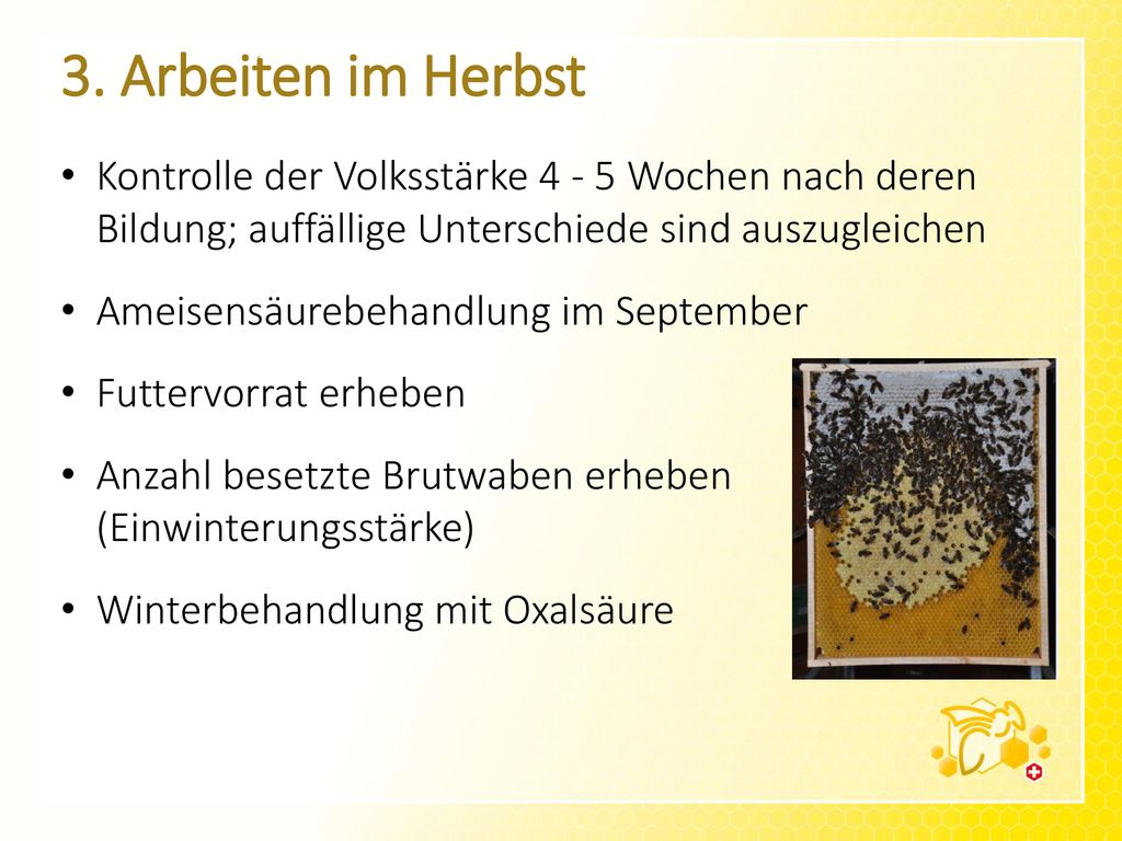 3. Arbeiten im Herbst Kontrolle der Volksstärke Wochen nach deren Bildung; auffällige Unterschiede sind auszugleichen.