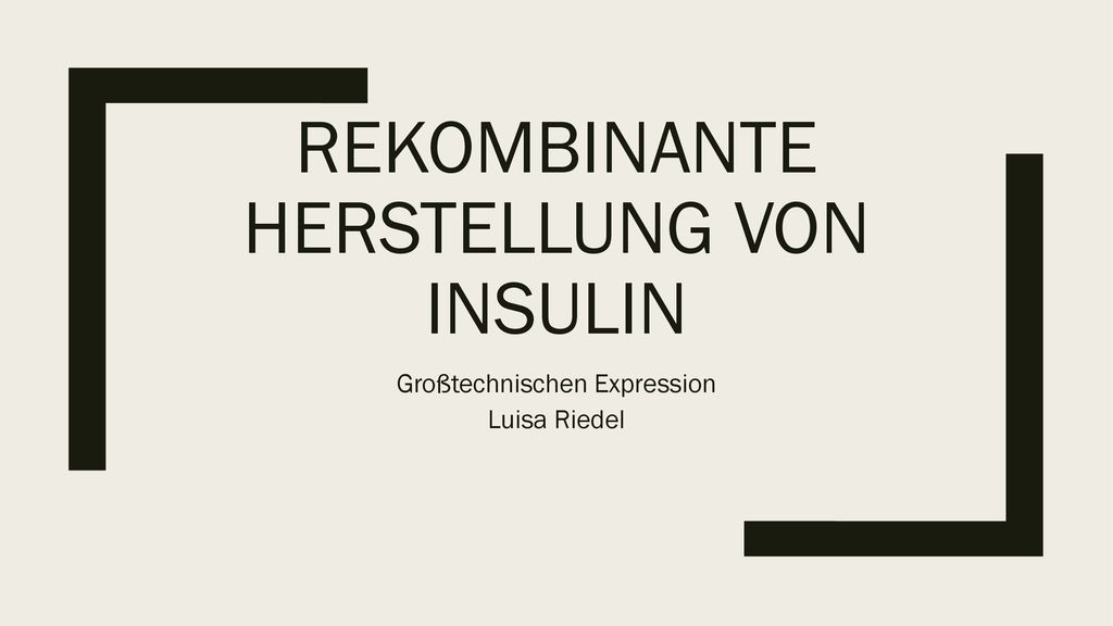 Rekombinante Herstellung von Insulin