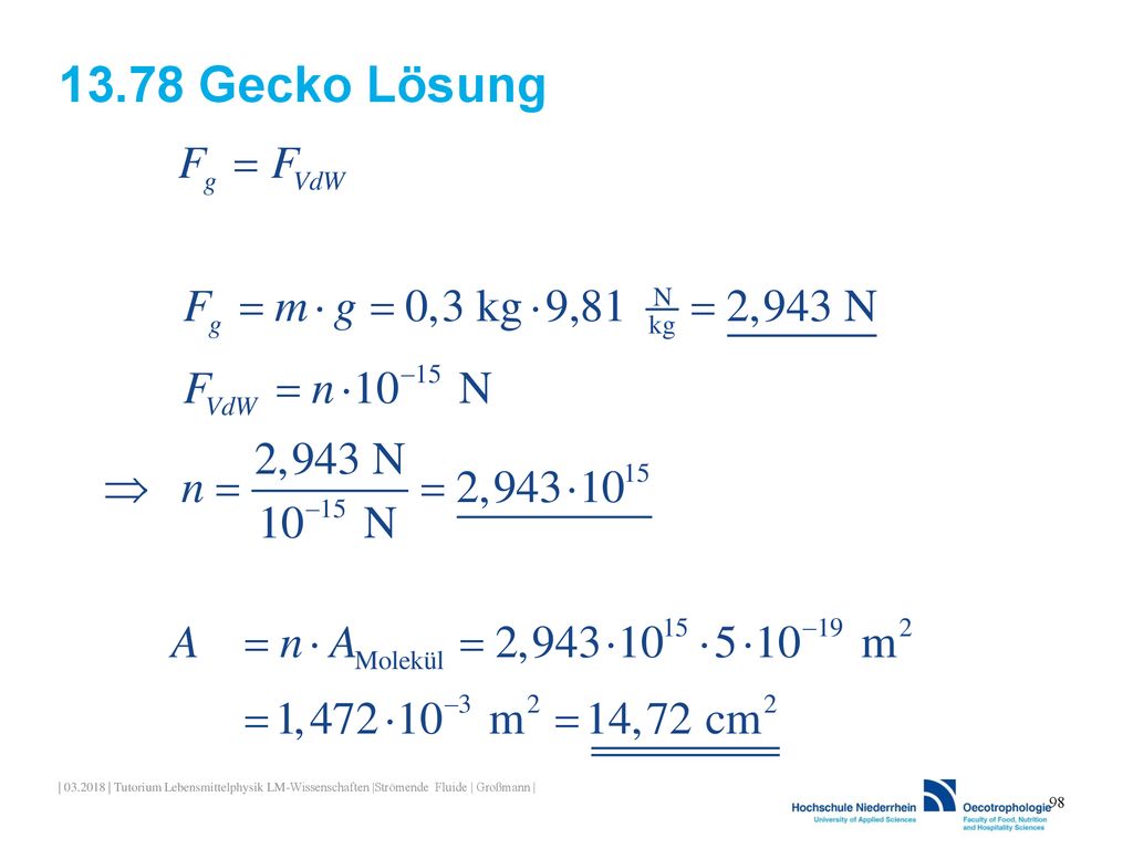 13.78 Gecko Lösung | | Tutorium Lebensmittelphysik LM-Wissenschaften |Strömende Fluide | Großmann |