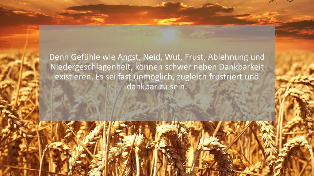 Denn Gefühle wie Angst, Neid, Wut, Frust, Ablehnung und Niedergeschlagenheit, können schwer neben Dankbarkeit existieren.