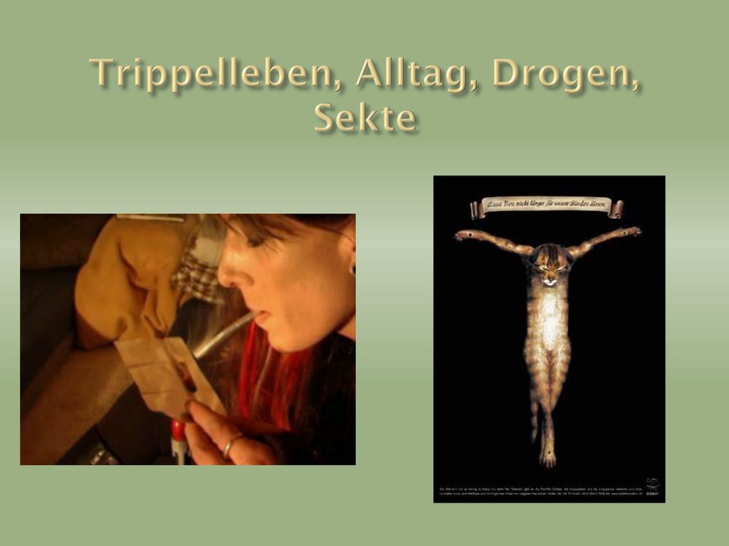 Trippelleben, Alltag, Drogen, Sekte