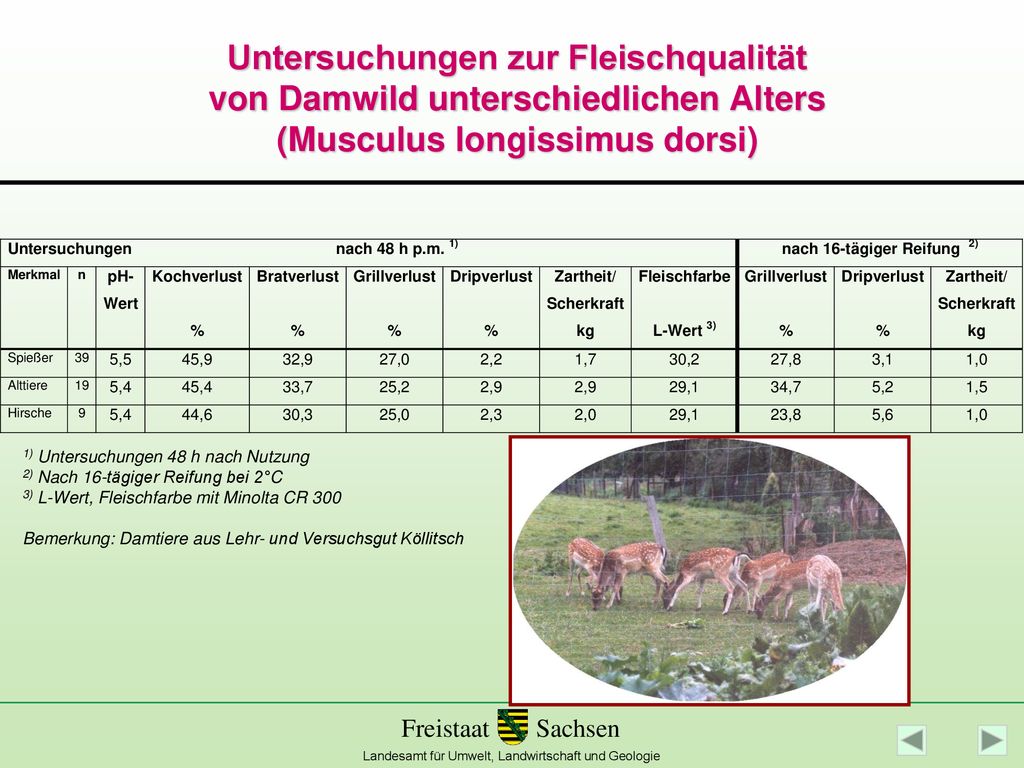Untersuchungen zur Fleischqualität von Damwild unterschiedlichen Alters (Musculus longissimus dorsi)