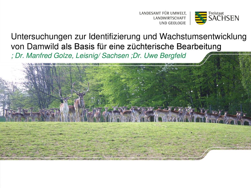 Untersuchungen zur Identifizierung und Wachstumsentwicklung von Damwild als Basis für eine züchterische Bearbeitung ; Dr.