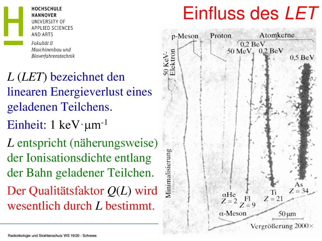 Einfluss des LET L (LET) bezeichnet den linearen Energieverlust eines geladenen Teilchens. Einheit: 1 keV·µm-1.