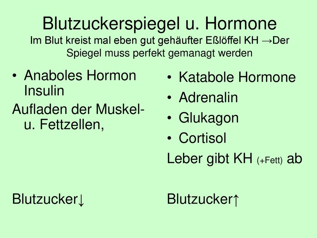Blutzuckerspiegel u. Hormone Im Blut kreist mal eben gut gehäufter Eßlöffel KH →Der Spiegel muss perfekt gemanagt werden