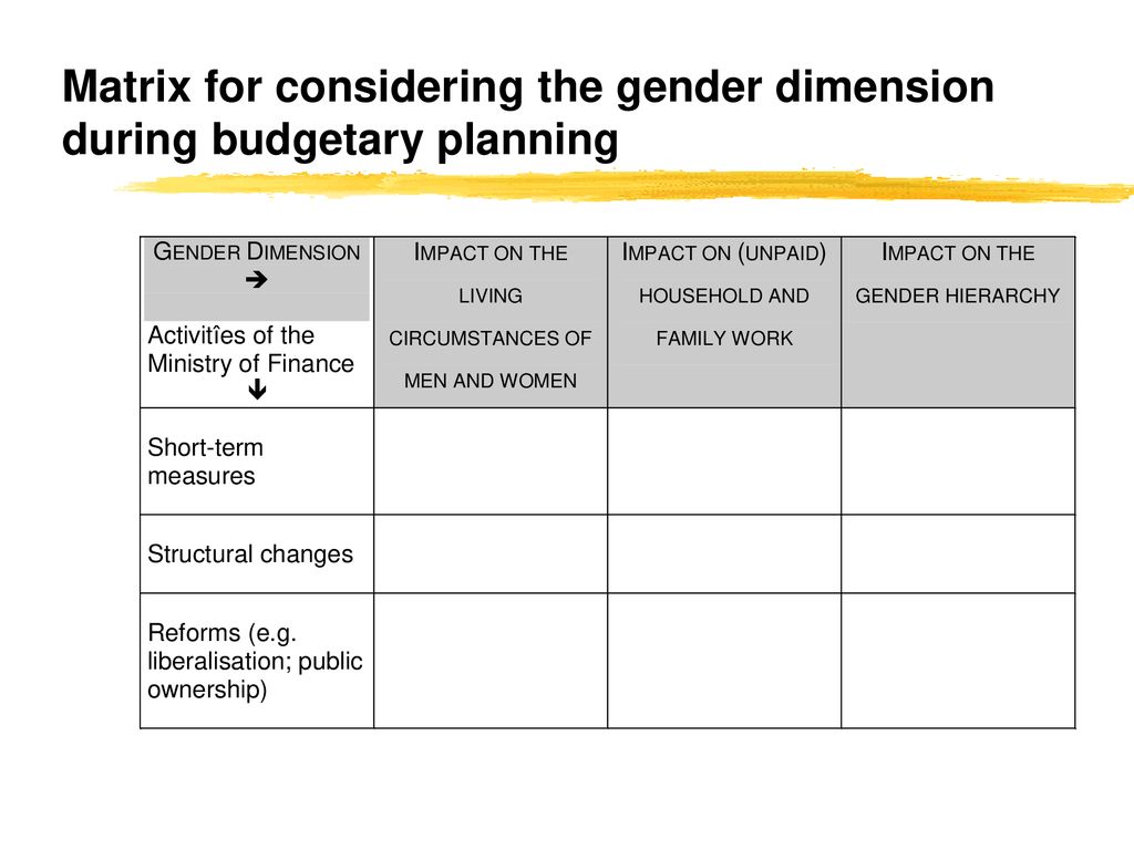 Matrix for considering the gender dimension during budgetary planning