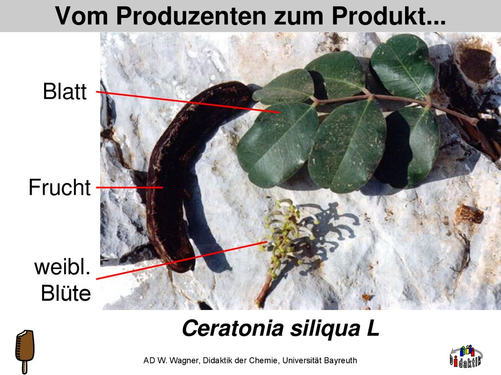 Vom Produzenten zum Produkt...
