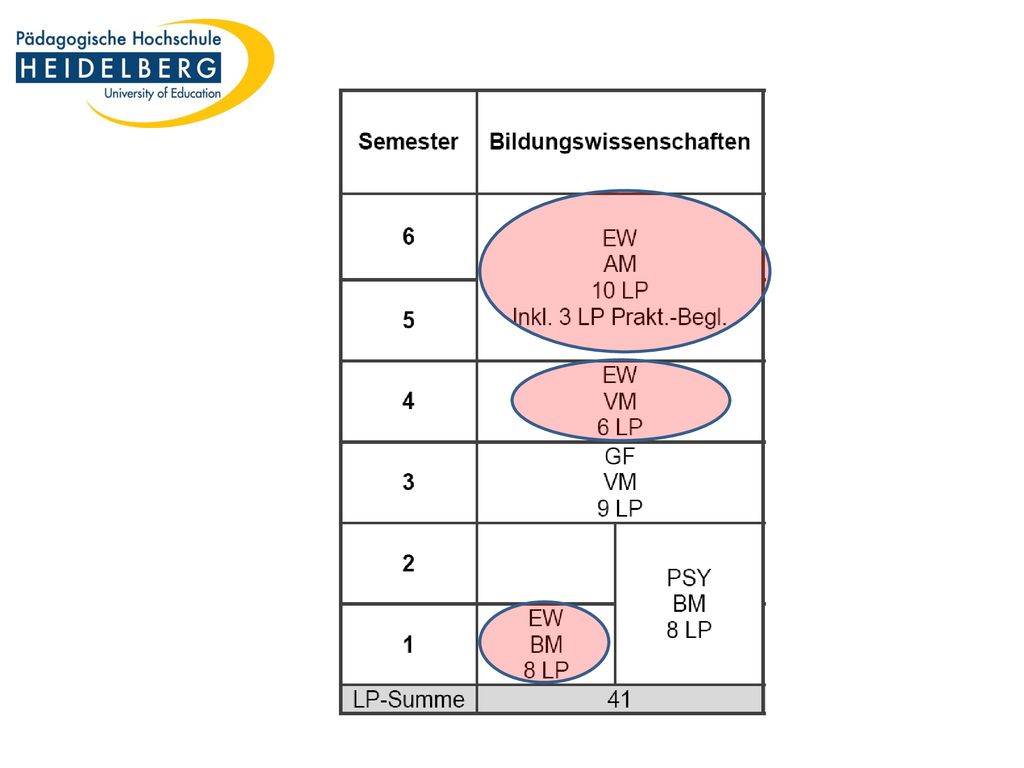 Für uns hier also von Belang erste Spalte: BW – EW hier erkennbar den größten Anteil, aufgeteilt in drei Module (Basis-, Vertiefung-, Abschluss-) – konkreter hier: