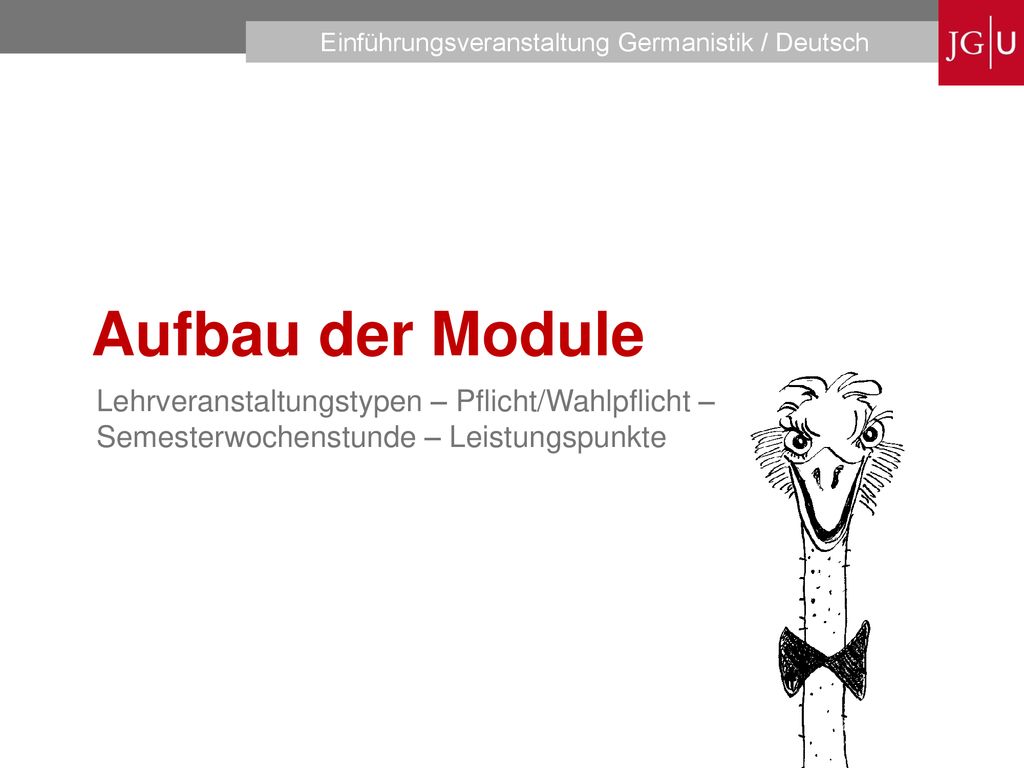 Aufbau der Module Lehrveranstaltungstypen – Pflicht/Wahlpflicht – Semesterwochenstunde – Leistungspunkte.