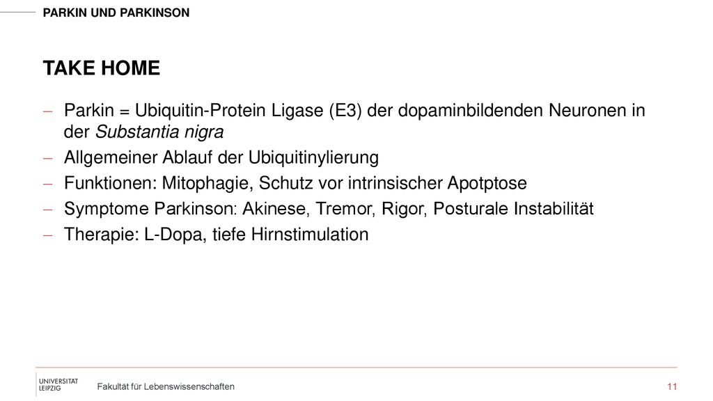 Take Home Parkin = Ubiquitin-Protein Ligase (E3) der dopaminbildenden Neuronen in der Substantia nigra.