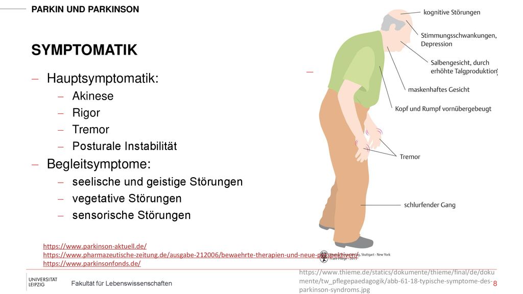 Symptomatik Typen nach Hauptsymptomen: Hauptsymptomatik: