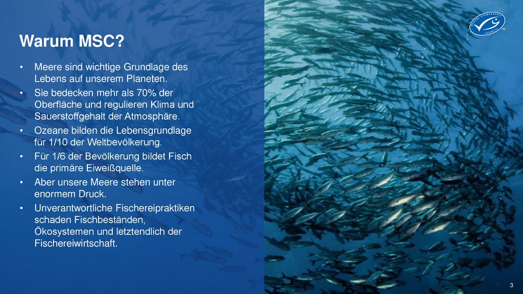Warum MSC Meere sind wichtige Grundlage des Lebens auf unserem Planeten.