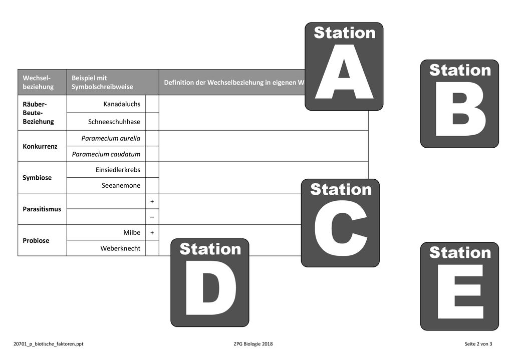 A B C D E Station Station Station Station Station Wechsel-beziehung