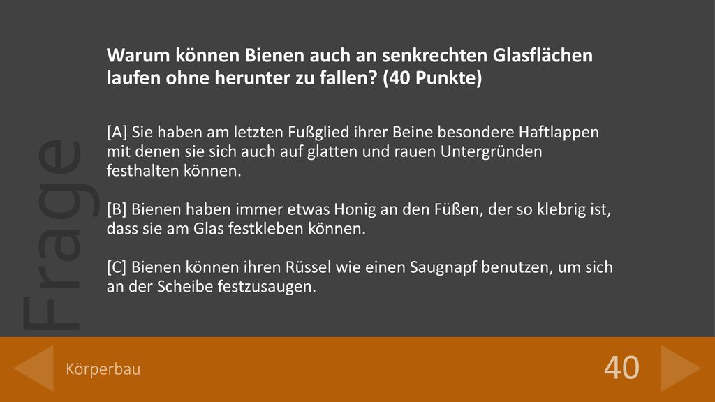 Warum können Bienen auch an senkrechten Glasflächen laufen ohne herunter zu fallen (40 Punkte)