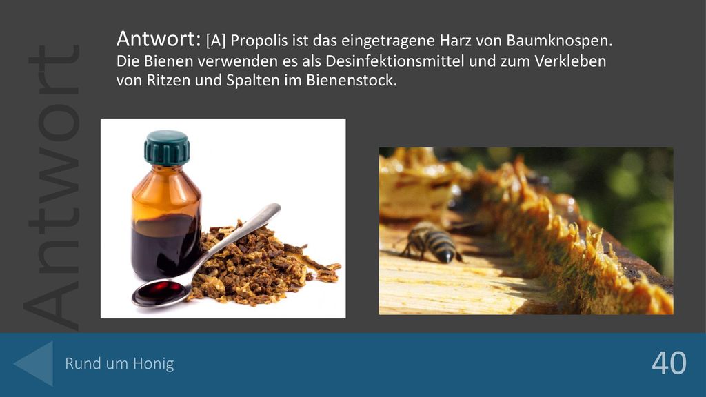 Antwort: [A] Propolis ist das eingetragene Harz von Baumknospen