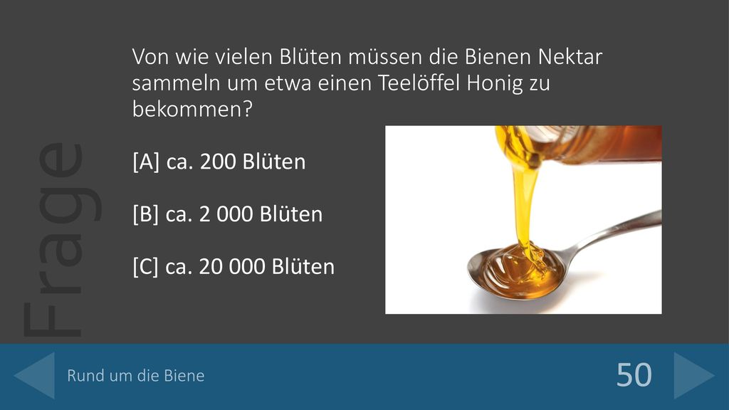 Von wie vielen Blüten müssen die Bienen Nektar sammeln um etwa einen Teelöffel Honig zu bekommen