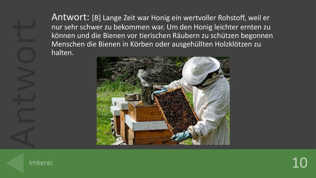 Antwort: [B] Lange Zeit war Honig ein wertvoller Rohstoff, weil er nur sehr schwer zu bekommen war. Um den Honig leichter ernten zu können und die Bienen vor tierischen Räubern zu schützen begonnen Menschen die Bienen in Körben oder ausgehüllten Holzklötzen zu halten.