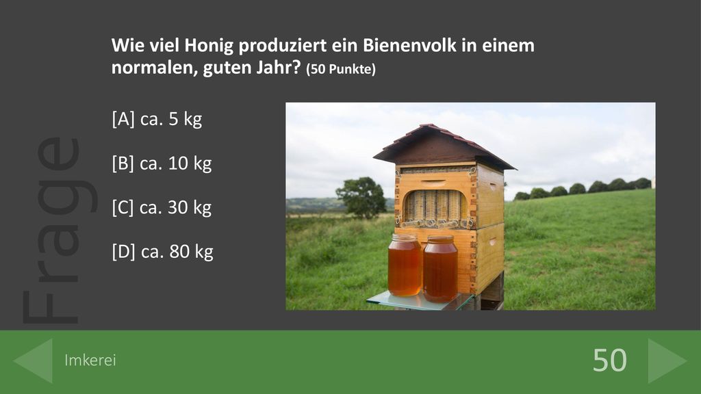 Wie viel Honig produziert ein Bienenvolk in einem normalen, guten Jahr