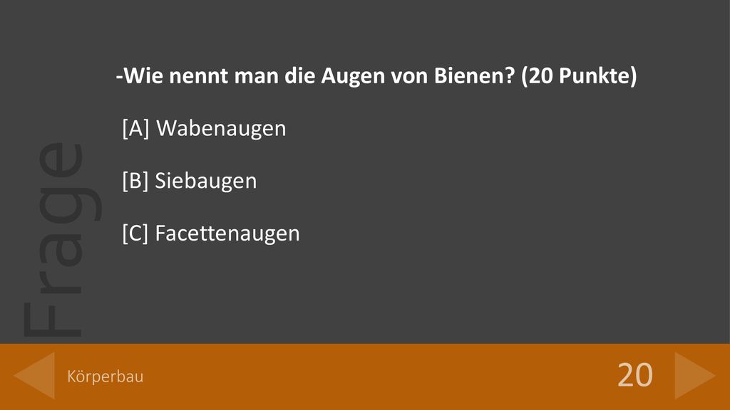 20 -Wie nennt man die Augen von Bienen (20 Punkte) [A] Wabenaugen