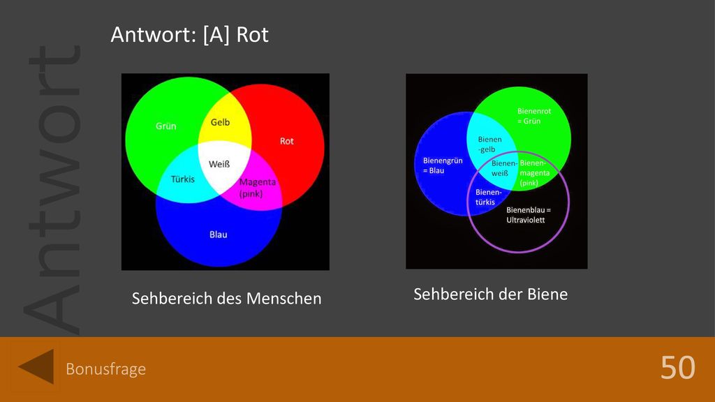 50 Antwort: [A] Rot Sehbereich der Biene Sehbereich des Menschen