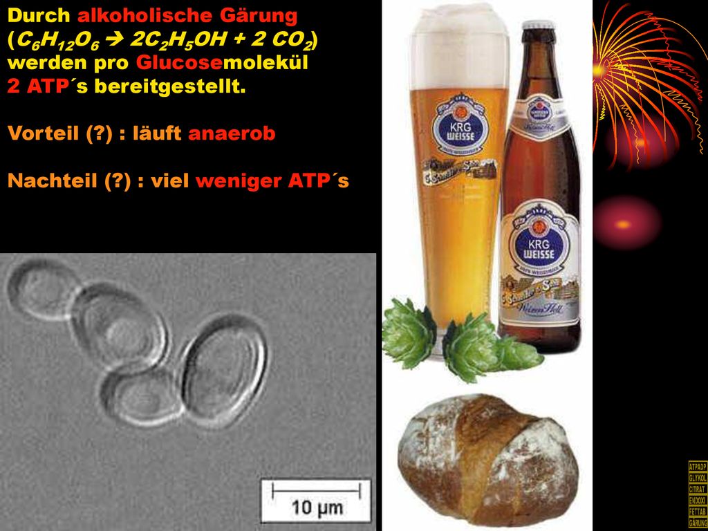 Durch alkoholische Gärung (C6H12O6  2C2H5OH + 2 CO2) werden pro Glucosemolekül 2 ATP´s bereitgestellt.
