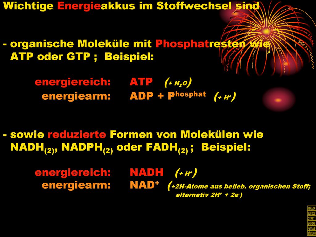 Wichtige Energieakkus im Stoffwechsel sind - organische Moleküle mit Phosphatresten wie ATP oder GTP ; Beispiel: energiereich: ATP (+ H2O) energiearm: ADP + Phosphat (+ H+) - sowie reduzierte Formen von Molekülen wie NADH(2), NADPH(2) oder FADH(2) ; Beispiel: energiereich: NADH (+ H+) energiearm: NAD+ (+2H-Atome aus belieb.