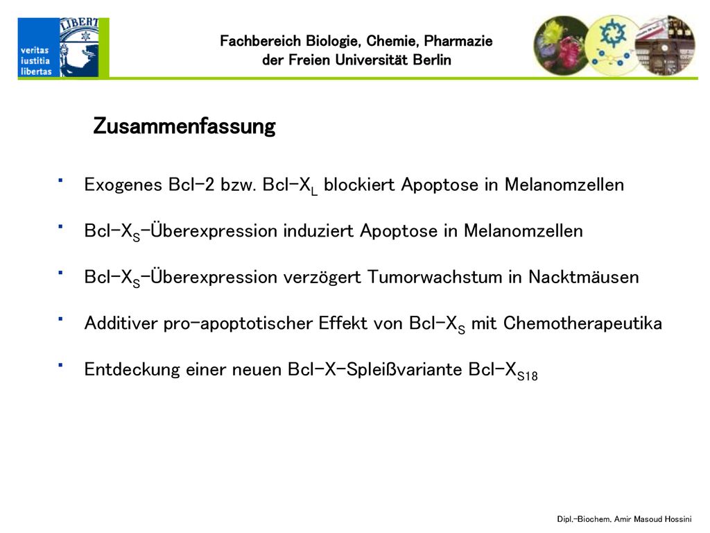 Zusammenfassung Exogenes Bcl-2 bzw. Bcl-XL blockiert Apoptose in Melanomzellen. Bcl-XS-Überexpression induziert Apoptose in Melanomzellen.
