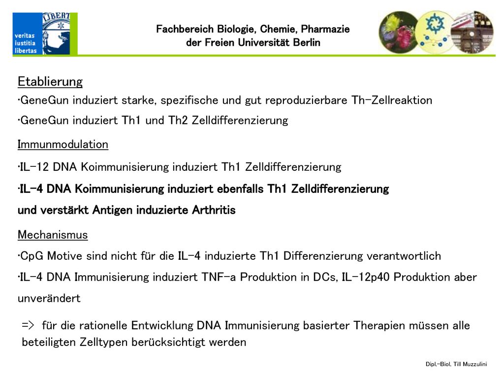 Etablierung GeneGun induziert starke, spezifische und gut reproduzierbare Th-Zellreaktion. GeneGun induziert Th1 und Th2 Zelldifferenzierung.