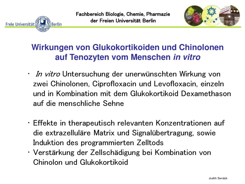 Wirkungen von Glukokortikoiden und Chinolonen auf Tenozyten vom Menschen in vitro