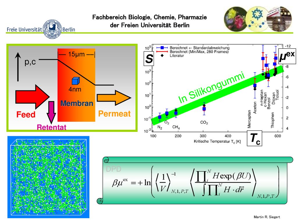 µex S Tc In Silikongummi p,c Feed Permeat Membran Retentat DPD