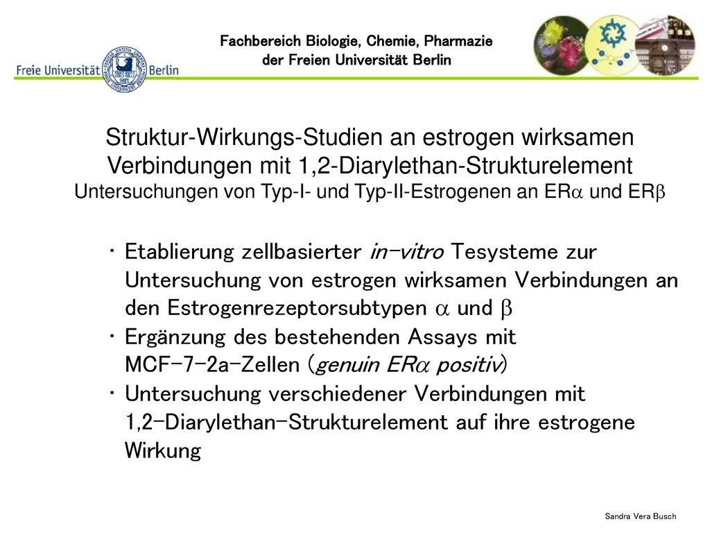 Untersuchungen von Typ-I- und Typ-II-Estrogenen an ERa und ERb